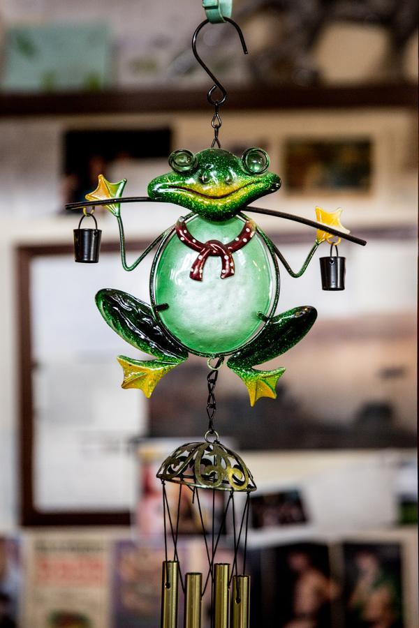 The Pickled Frog Vandrarhem Hobart Exteriör bild